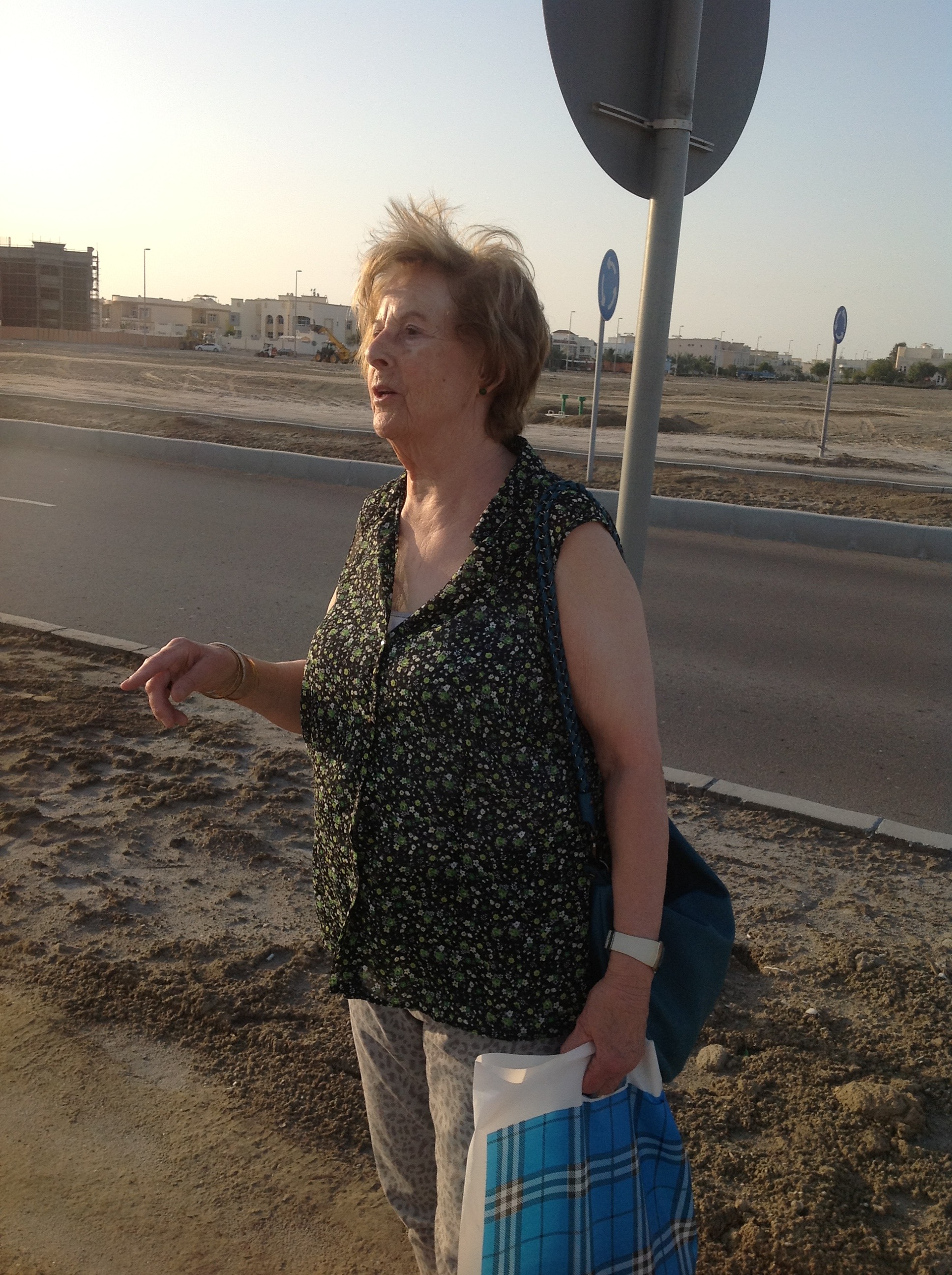 Ille Heye, Abu Dhabi - U.A.E., 2015-01-20